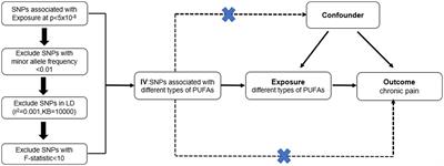 Causal association of polyunsaturated fatty acids with chronic pain: a two-sample Mendelian randomization study